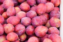 Pile de prunes fraîches cueillies, vue de dessus — Photo de stock