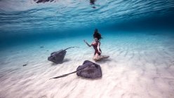 Feminino mergulhador livre ajoelhado perto de arraias no fundo do mar — Fotografia de Stock
