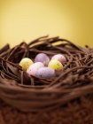 Шоколадные яйца в гнезде — стоковое фото