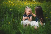 Дівчата сидять на лузі дикої квітки обличчям до обличчя посміхаючись — стокове фото