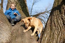 Menino e cão escalando árvore juntos — Fotografia de Stock