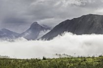 Nebbia sopra il campo verde e montagne lontane sotto cielo nuvoloso — Foto stock
