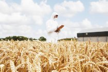 Scientifique examinant les grains dans les champs de culture — Photo de stock