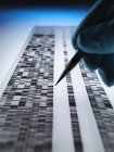 Wissenschaftler betrachten DNA-Gel, das in der Genetik, Forensik, Pharmaforschung, Biotechnologie und Biomedizin verwendet wird — Stockfoto