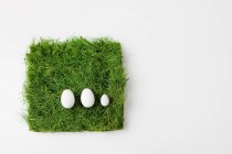 Три яйца на траве — стоковое фото