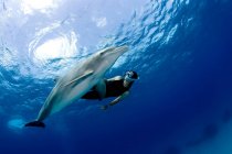 Низький кут зору жіночого снорклера з дельфіном під водою — стокове фото