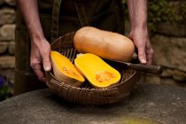 Man hands holding basket of whole and halved butternut squashes — Stock Photo