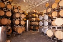 Barris de vinho de madeira em vinha — Fotografia de Stock