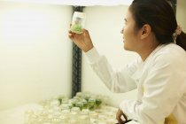 Cientista feminina examinando amostra de planta em frasco — Fotografia de Stock