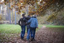 Rear view of boys walking through forest — Stock Photo