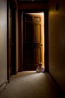 Bambola in entrata nel corridoio — Foto stock