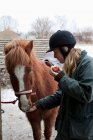 Woman feeding apple to horse outdoors — Stock Photo
