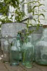 Vintage tin plant pots and bottles on terrace in rain — Stock Photo