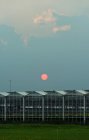 Greenhouses under sunset sky — Stock Photo