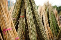Paquetes de madera de bambú al aire libre - foto de stock