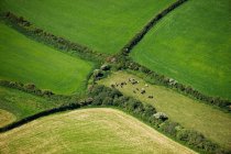 Campos agrícolas ingleses - foto de stock