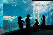 Дети смотрят рыбу в аквариуме — стоковое фото