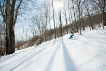 Young woman snowboarding between trees — Stock Photo