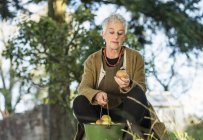 Donna anziana che ispeziona mela dal secchio — Foto stock