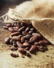 Какао-бобы и мешок, крупным планом — стоковое фото