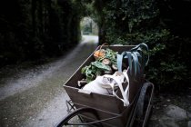 Chariot à main de légumes verts de printemps fraîchement cueillis et de courges dans le jardin — Photo de stock