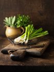 Green onions and herbs — Stock Photo