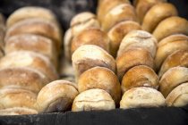 Лоток зі свіжих хлібних рулонів, крупним планом — стокове фото