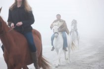 Personas montando a caballo en la playa - foto de stock