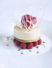 Крупним планом десертна тарілка з малиною, морозивом та печивом — стокове фото
