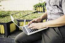 Cropped shot of scientist typing on laptop in plant growth research centre greenhouse — Stock Photo