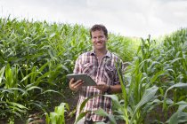Фермер стоїть у полі посівів за допомогою цифрового планшета — стокове фото