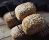 Органічний хліб з вівсом на охолоджувальній стійці — стокове фото