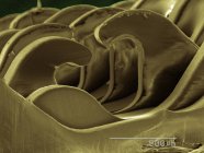 Micrographie électronique à balayage coloré de la fermeture à crochet et boucle — Photo de stock