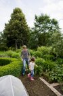 Pai e filha jardinagem juntos — Fotografia de Stock