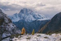 Tre Cime di Lavaredo area, South Tyrol, Dolomite Alps, Itália — Fotografia de Stock