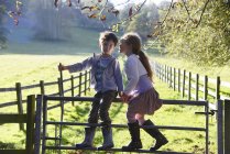 Girl whispering to twin brother whilst climbing over footpath gate — Stock Photo