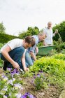 Nonno, padre e figlio giardinaggio — Foto stock
