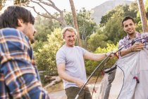 Three men putting up tent in forest, Deer Park, Cape Town, South Africa — Stock Photo