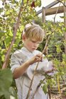 Ragazzo bacca-raccolta lamponi nel giardino verde — Foto stock