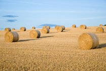 Hay bales on field in bright sunlight — Stock Photo