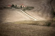 Traditionelle Bauernhäuser in toskanischen Getreidefeldern — Stockfoto
