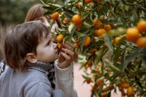 Madre e hija oliendo naranjas en el árbol - foto de stock