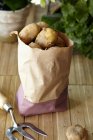 Raw potatoes in paper bag — Stock Photo