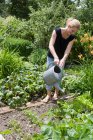 Жінка поливає рослини на задньому дворі — стокове фото