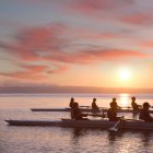 Сім людей веслують на заході сонця — стокове фото