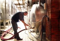 Man working in industrial wine cellar — Stock Photo