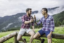 Dois amigos do sexo masculino bebendo cerveja na cerca — Fotografia de Stock
