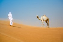 Homem do Oriente Médio vestindo roupas tradicionais caminhando em direção a camelos no deserto, Dubai, Emirados Árabes Unidos — Fotografia de Stock