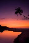 Пальма на закате неба — стоковое фото