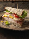 Primo piano colpo di sandwich sul piatto — Foto stock